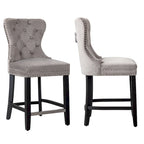 Carter 24 Wingback Tufted Nailhead Counter Stool (Set of 2)