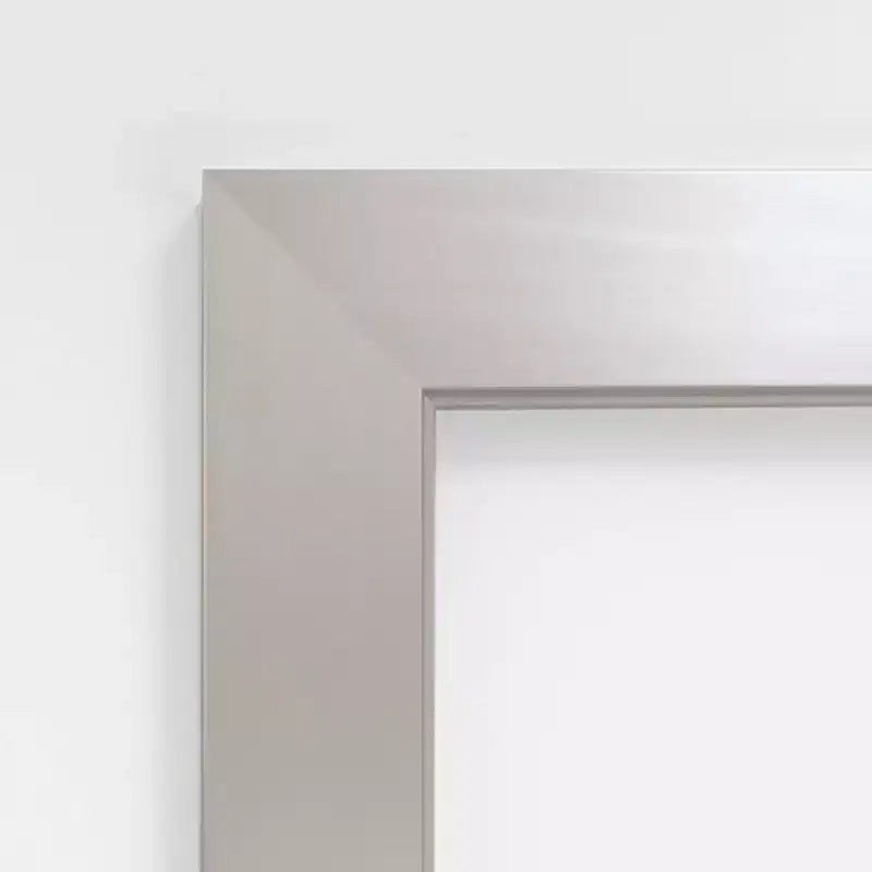 Miroir de porte Amanti Art en bois, argent sterling brossé non biseauté, 18 po x 52 po