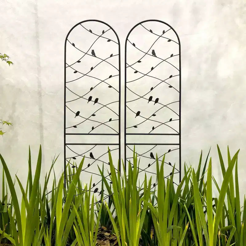 MAYEERTY Lot de 2 treillis de jardin en métal 180 x 50 cm, antirouille, support pour plantes grimpantes, noir, pour extérieur