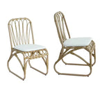 MAYEERTY Lot de 2 chaises de salle à manger d'extérieur en rotin PE avec coussin lavable pour jardin et terrasse