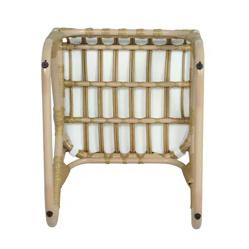 MAYEERTY Lot de 2 chaises de salle à manger d'extérieur en rotin PE avec coussin lavable pour jardin et terrasse