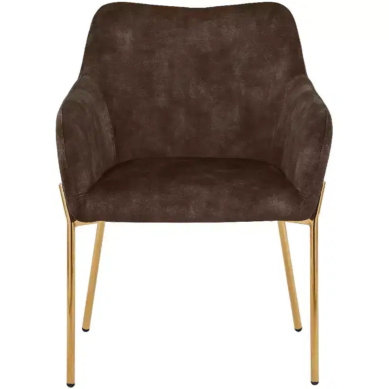 LeisureMod Zaire Chaise de salle à manger moderne, Chaise d'appoint rembourrée avec pieds en fer doré, Chaise d'appoint élégante pour salle à manger ou cuisine, Lot de 2