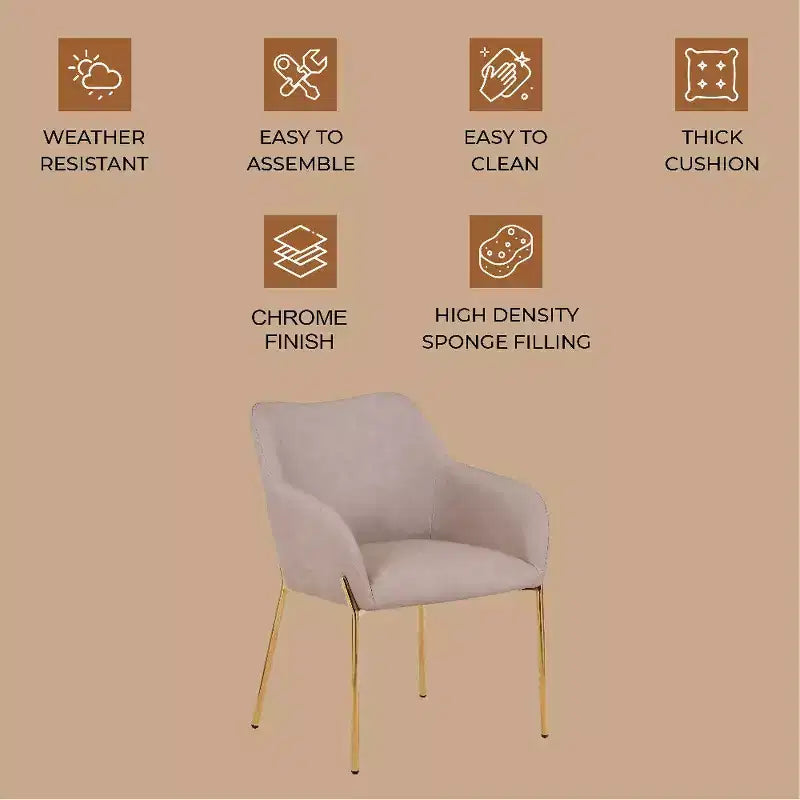 LeisureMod Zaire Chaise de salle à manger moderne, Chaise d'appoint rembourrée avec pieds en fer doré, Chaise d'appoint élégante pour salle à manger ou cuisine, Lot de 2