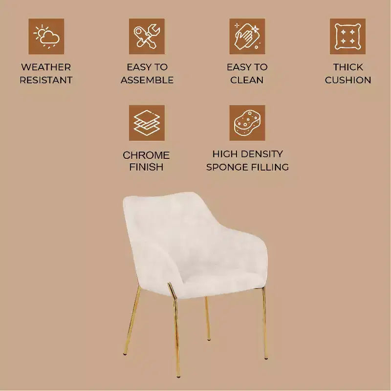 LeisureMod Zaire Chaise de salle à manger moderne, Chaise d'appoint rembourrée avec pieds en fer doré, Chaise d'appoint élégante pour salle à manger ou cuisine, Lot de 2