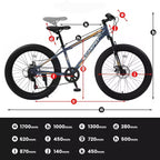 NAYSAYE Vélo de Montagne Fat Bike 24 Pouces avec Dérailleur 7 Vitesses et Double Frein à Disque pour Adultes et Adolescents, Gris, 67*25*40