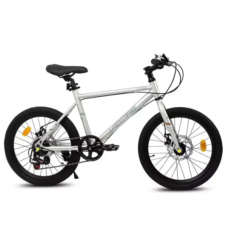 Vélo enfant Okak 20" avec 7 vitesses et cadre en acier, vélo enfant avec double freins à disque et pneus de 1,75", vélos cruiser pour garçons et filles