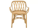 Serafima Rattan Arm Chair - ACH6702 - Safavieh