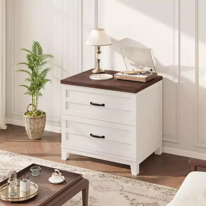 COZONY Meuble de Rangement à 2 Tiroirs, Classeur Latéral en Bois pour Documents au Format Lettre, Légal, A4, Marron Rustique et Blanc