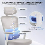 High-Back Ergonomic Office Chair  Breathable Mesh Gaming Chair with Adjustable Lumbar & 3D Armrests