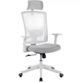 Ergonomic Mesh Desk Chair | Padded Headrest & Wheels | Gaming/Office Chair for E-Sport Room, Office, Bedroom