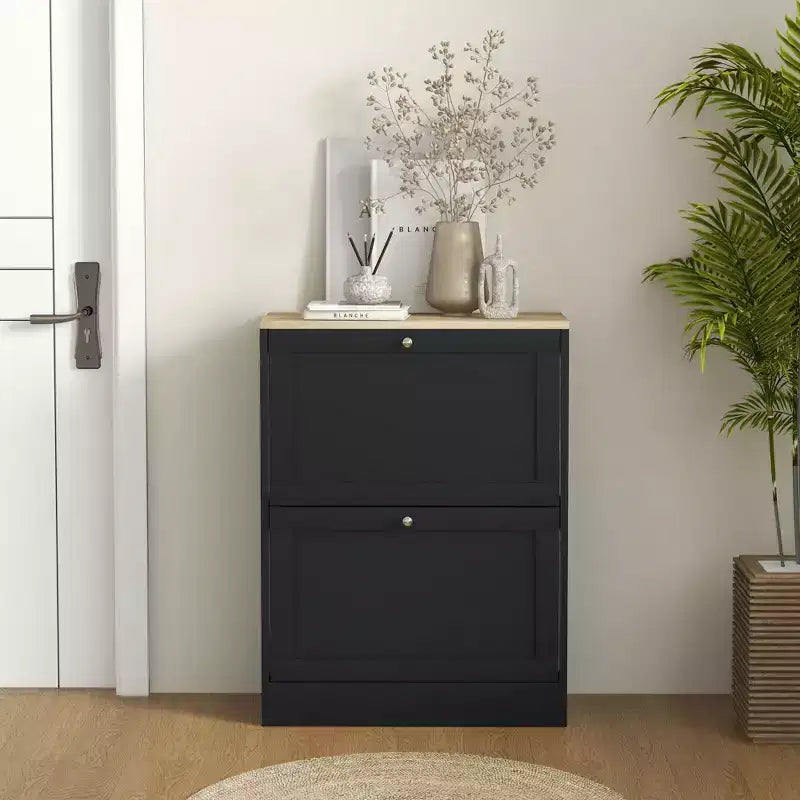 Meuble à chaussures étroit HOMCOM pour entrée, meuble de rangement de chaussures moderne avec 2 tiroirs basculants et étagères réglables pour 8-12 paires de chaussures