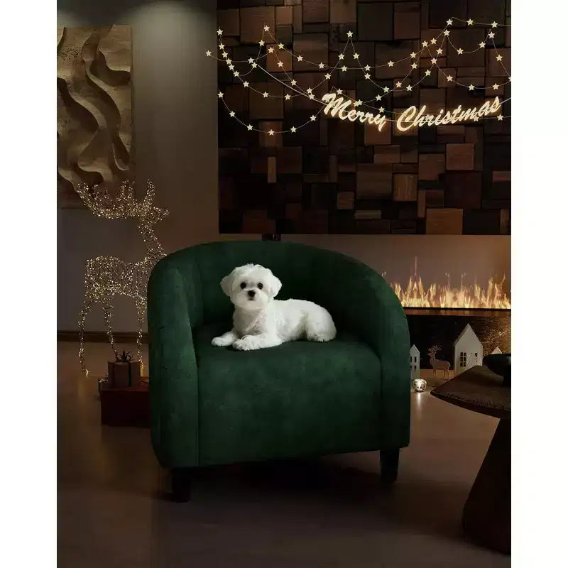 Fauteuil club confortable, tissu bouclette et revêtement doux, dossier arrondi, assise moelleuse, fauteuil moderne pour salon, chambre, réception, lounge, bureau
