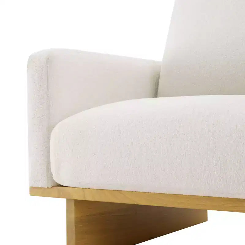 Whisen Modern Minimalist Accent Chair with Solid Wood Frame Ergonomic for Living Room, Soft Cushions and Spacious Design