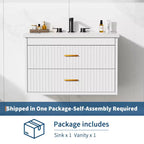 Floating Bathroom Vanity with Sink - Modern Wall Mounted Vanity with Ceramic Sink, 2 Large Drawers, Waterproof & Easy Clean