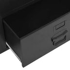 vidaXL Armoire compacte rectangulaire en acier et plastique noirs