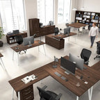 Bush Business Furniture Vista 2 Drawer Lateral File Cabinet