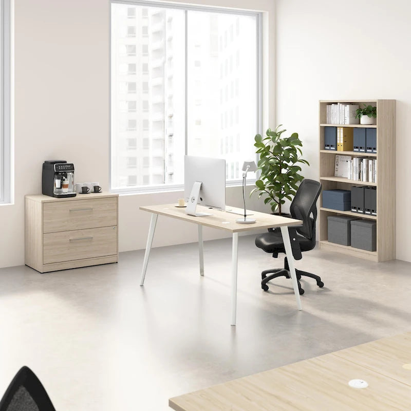 Bush Business Furniture Vista 2 Drawer Lateral File Cabinet