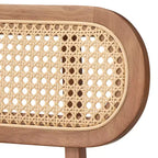 Lot de 2 chaises de salle à manger modernes du milieu du siècle Rika Buylateral