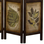 Botanical Print Double Sided Room Divider - Oriental Furniture: Hardwood, No Assembly, 3 Panel