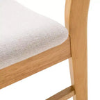 Set of 2 Lucious Dining Chair - Christopher Knight Home