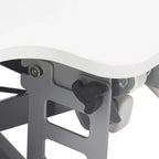 Large Ergo Height Adjustable Standing Desk Converter - True Seating