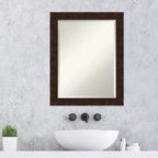 William Narrow Framed Bathroom Vanity Wall Mirror Bronze - Amanti Art