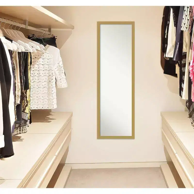 Brace Brushed Framed Full Length on the Door Mirror - Amanti Art