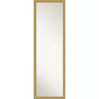 Brace Brushed Framed Full Length on the Door Mirror - Amanti Art