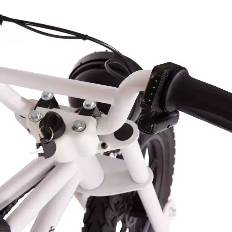 Droyd Kids' Weeler 14 Step Over Mini Electric Bike