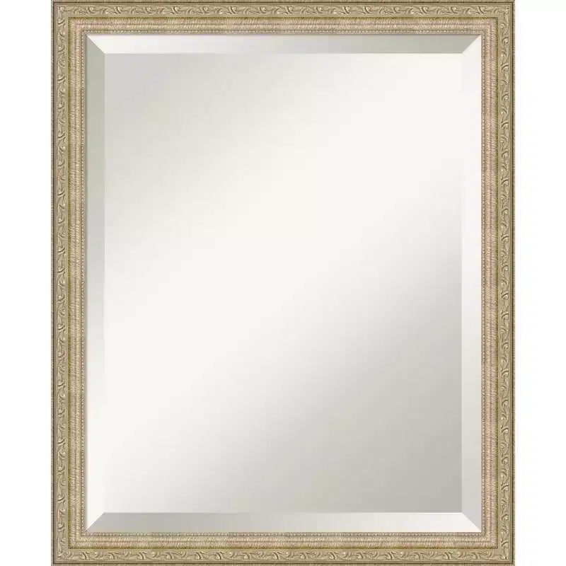 Amanti Art Paris Champagne Beveled Framed Wall Mirror
