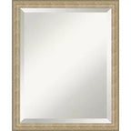 Amanti Art Paris Champagne Beveled Framed Wall Mirror