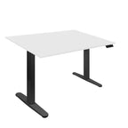 Mount-It! Dual Motor Electric Standing Desk with 48 Tabletop, Black & White