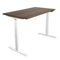 Mount-It! Dual Motor Electric Standing Desk with 55 Tabletop, Brown & White