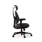 EUREKA ERGONOMIC Flex, Fauteuil de Bureau Ergonomique