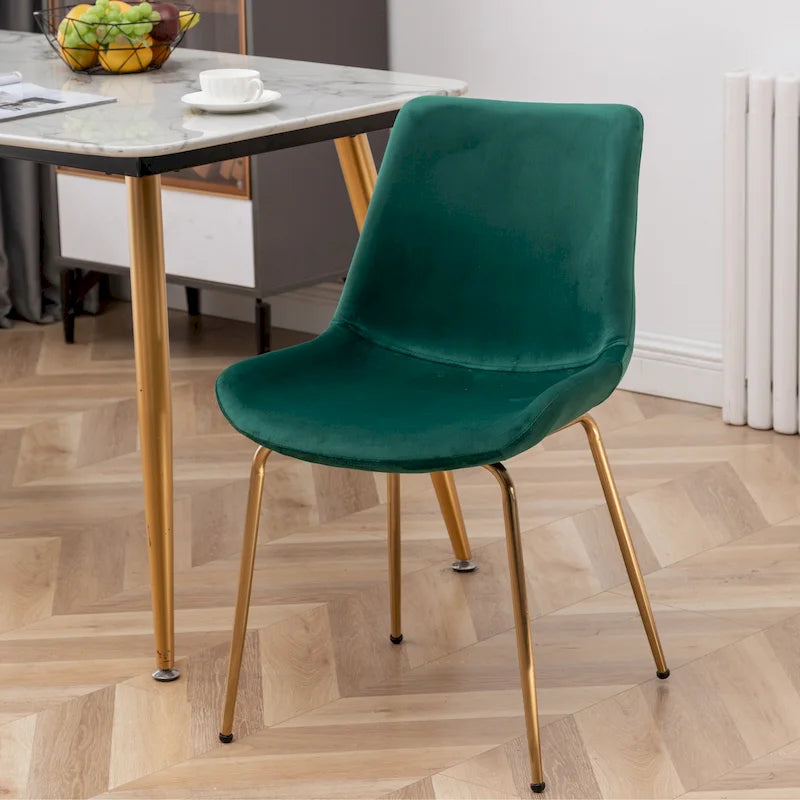 Roundhill Furniture Aufurr Modern Velvet Dining Chair (Set of 2)