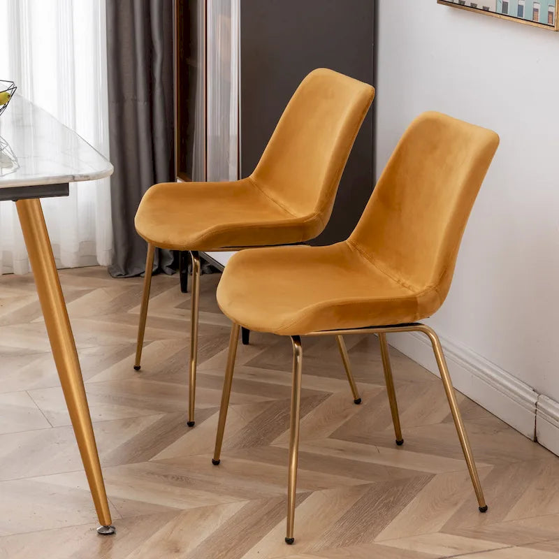 Roundhill Furniture Aufurr Modern Velvet Dining Chair (Set of 2)