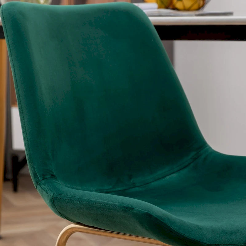 Roundhill Furniture Aufurr Modern Velvet Dining Chair (Set of 2)
