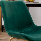 Roundhill Furniture Aufurr Modern Velvet Dining Chair (Set of 2)