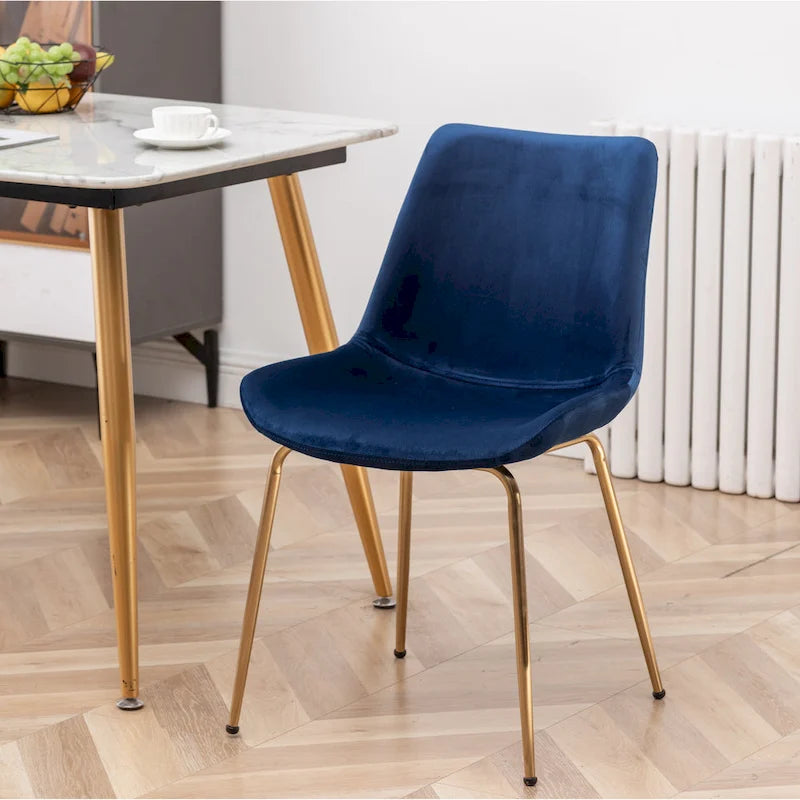 Roundhill Furniture Aufurr Modern Velvet Dining Chair (Set of 2)