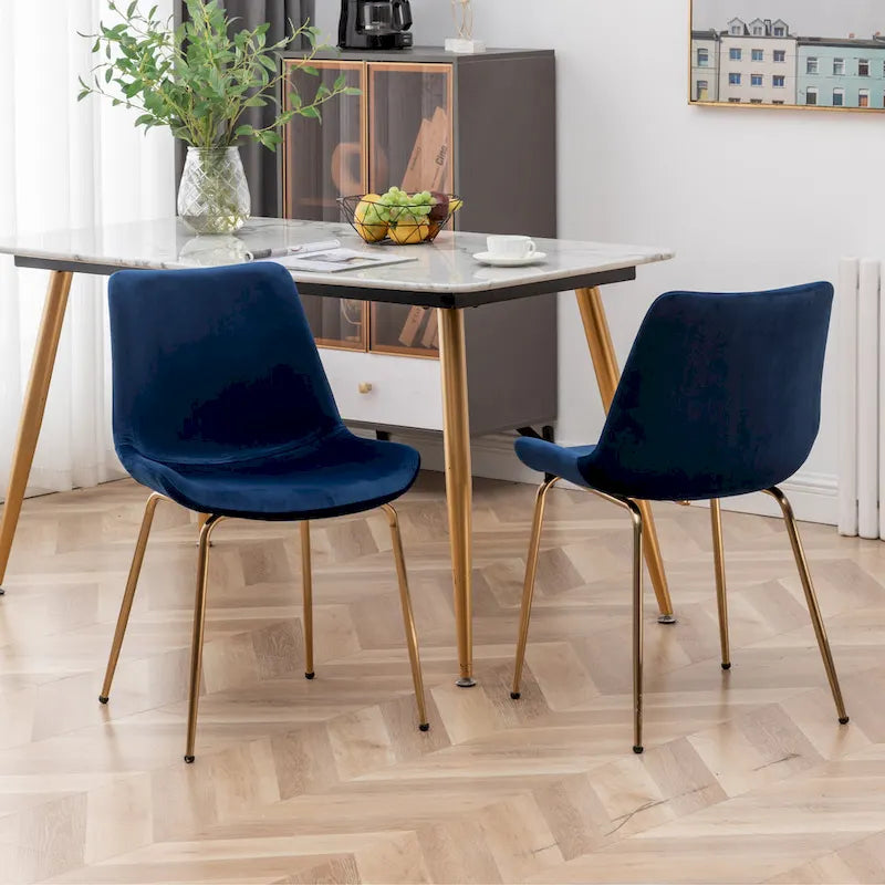 Roundhill Furniture Aufurr Modern Velvet Dining Chair (Set of 2)