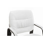 BTExpert Premium Leather Office Executive Waiting Room Guest/Reception Side Conference Chair