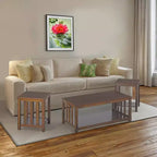 Ensemble de 3 tables basses Ottawa Home Design