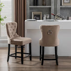Carter 24 Wingback Tufted Nailhead Counter Stool (Set of 2)
